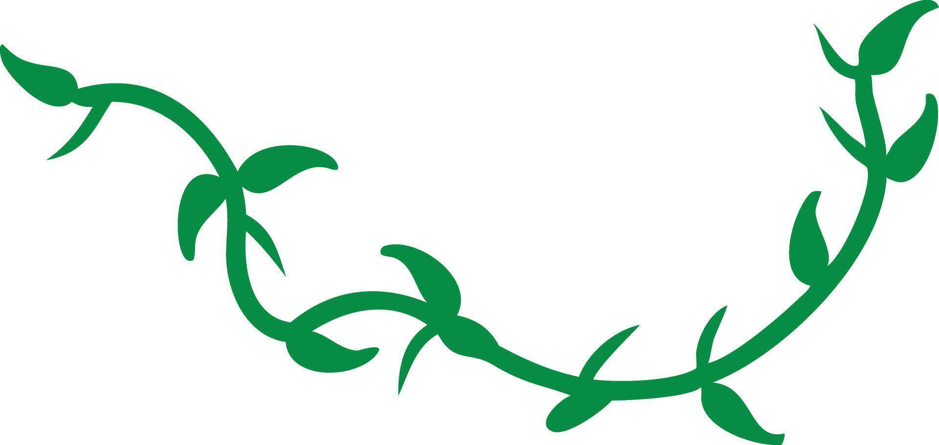 Elegant Green Vine Leaves Curve, Botanical vector