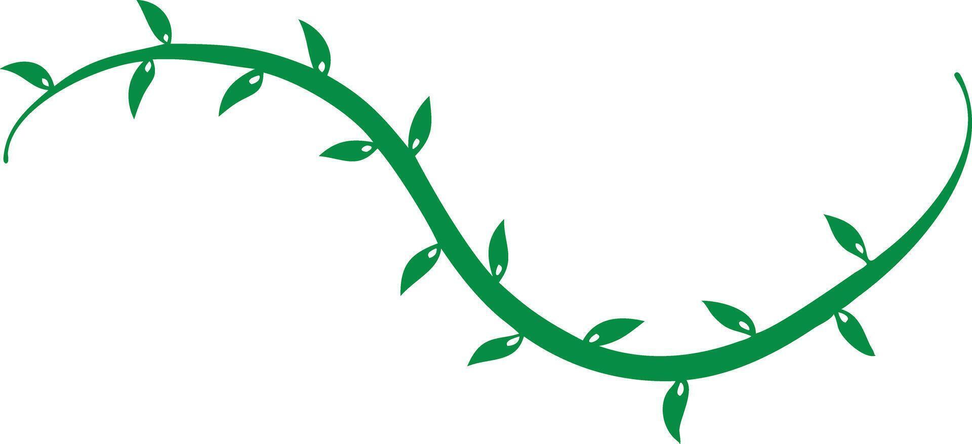 Winding Green Vine with Leaves Isolated Design Element vector