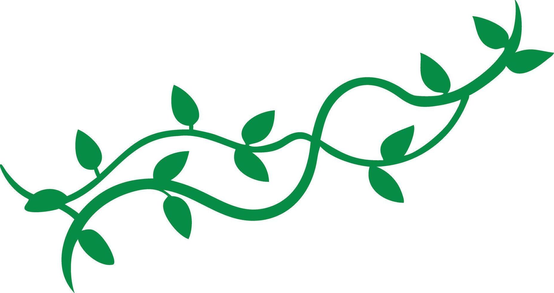 Two Winding Green Vines with Leaves vector