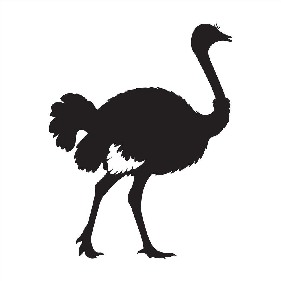 A ostrich bird silhouette vector