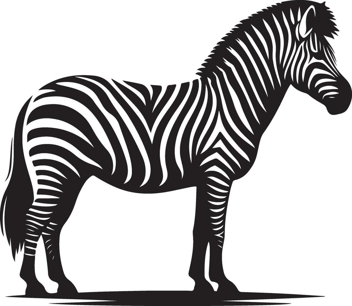 Zebra silhouette on white background vector