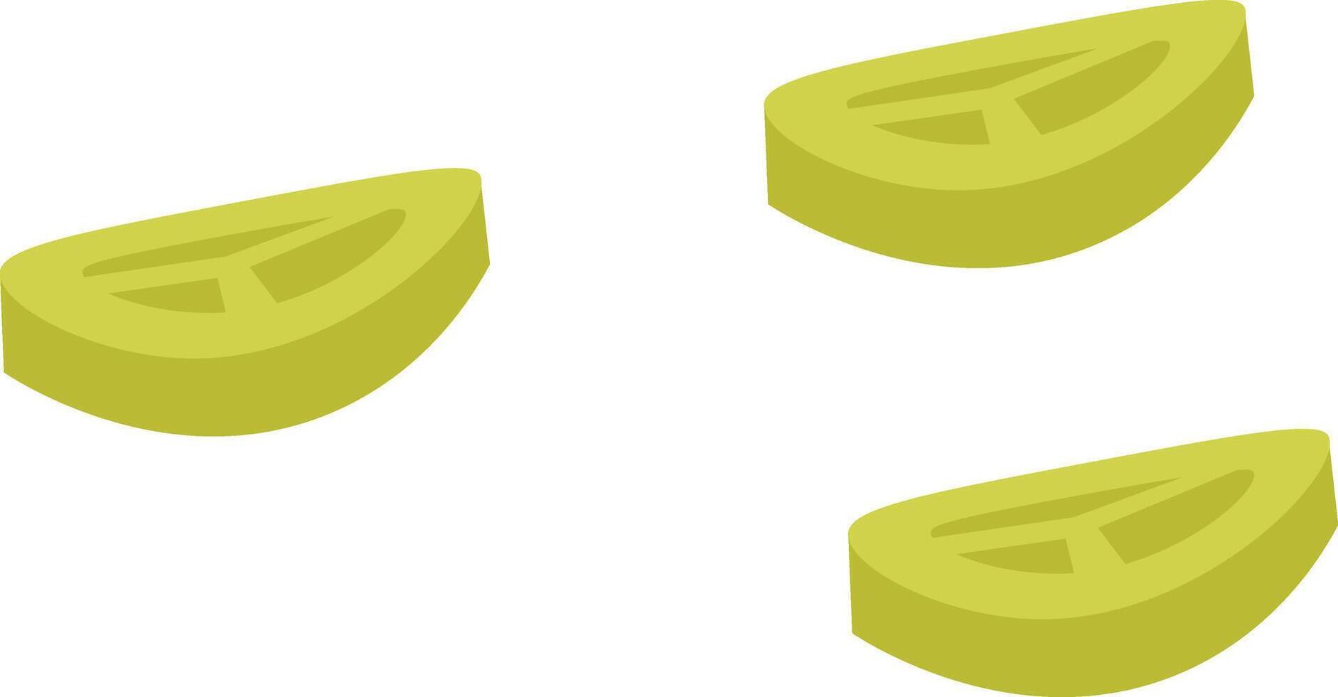 Lime Slices Illustration vector