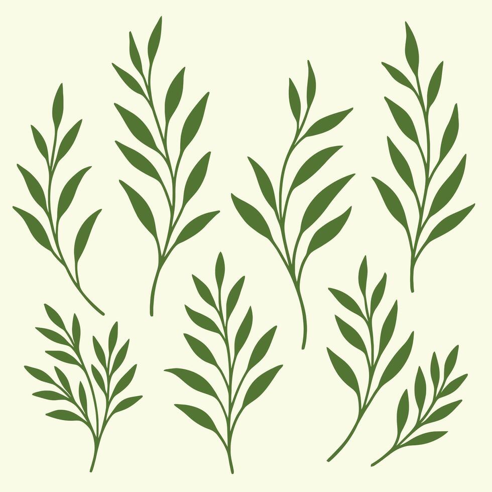 Green Botanical Leaves Collection vector