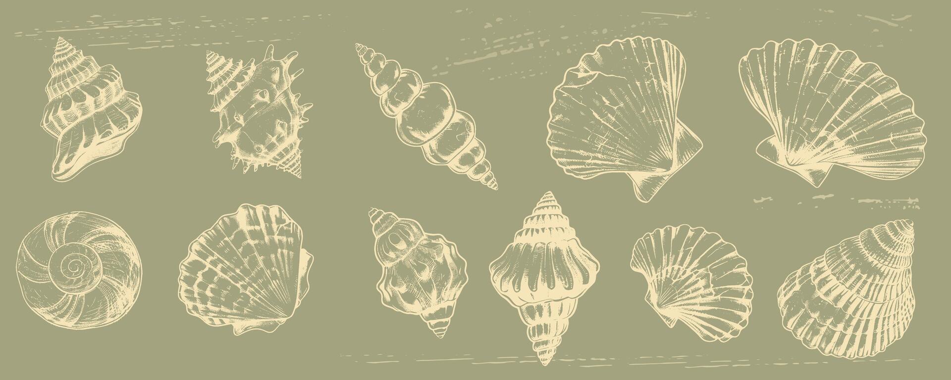 Vintage Shell Illustrations on Grunge Background in Retro Engraving Style create a timeless Beach Clipart for Summer Design Projects. vector