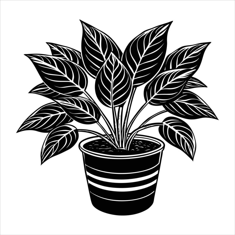 Home Plant in pots sketch vector