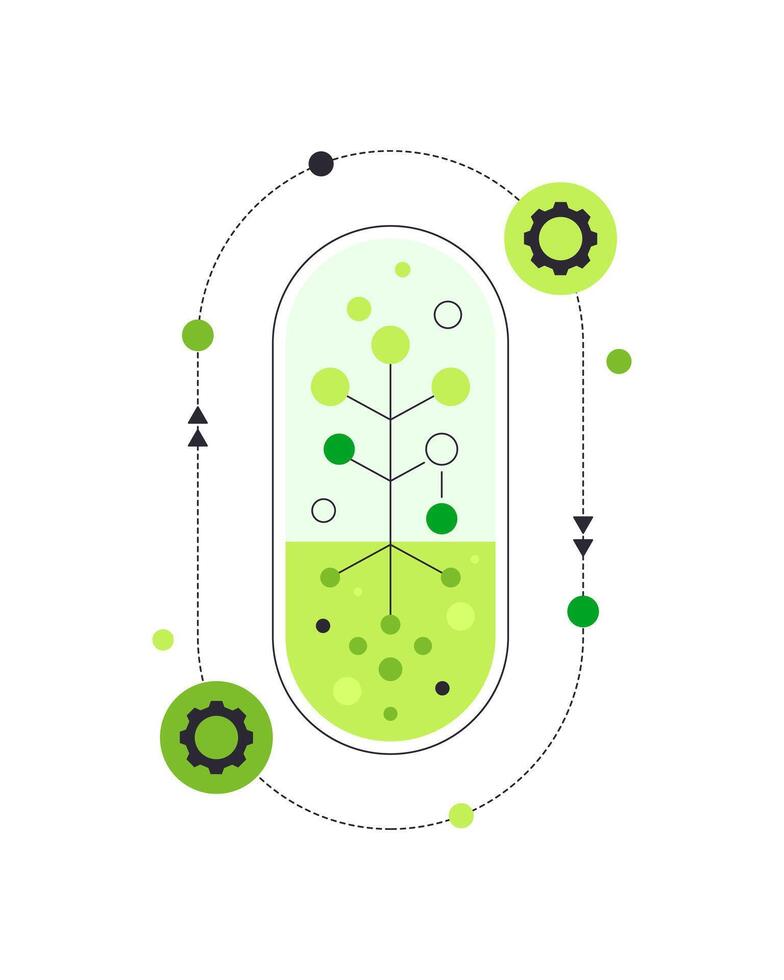 Growth of the plant. Abstract scheme. Infographic element vector