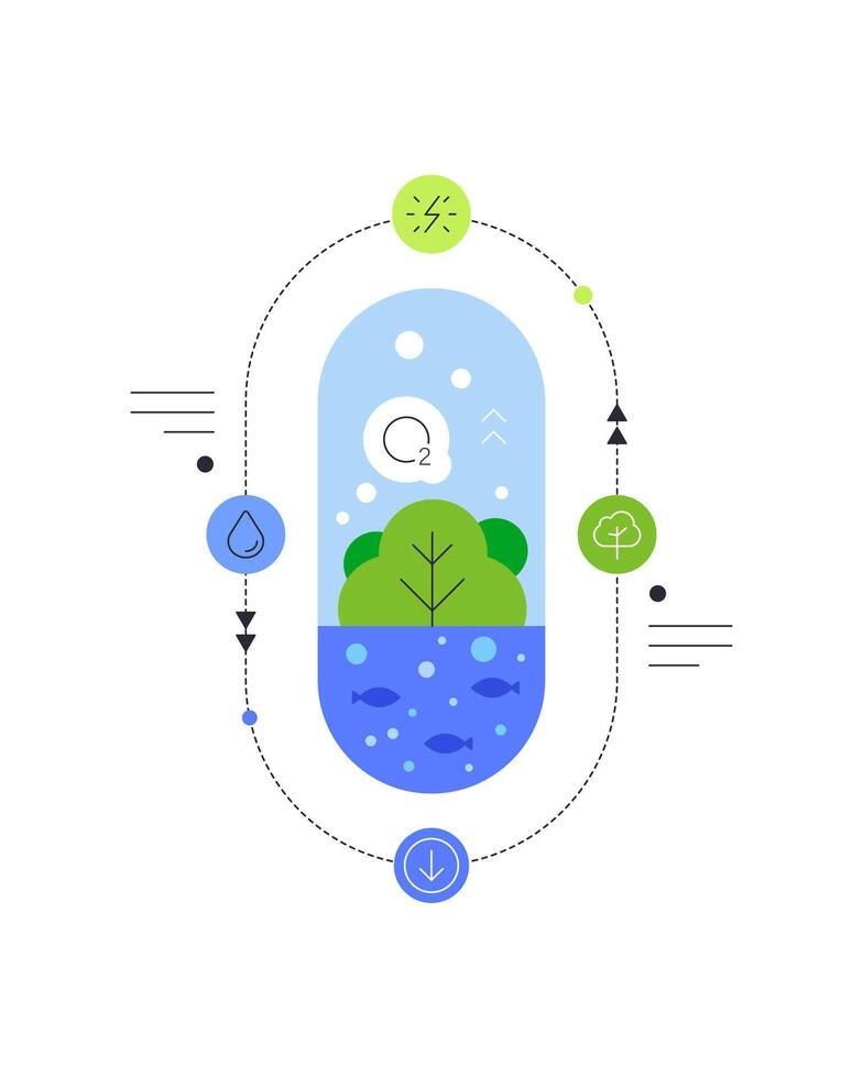 Aquaponics. Plant growing. Abstract scheme. Ecosystem vector