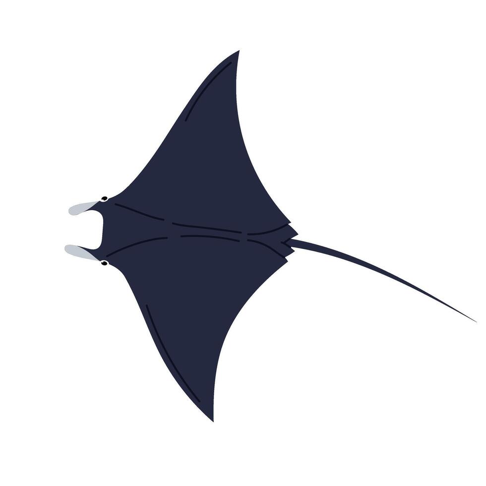 Ocean stingray. Stingray fish isolated on white background. Marine or oceanic animal in flat style. vector
