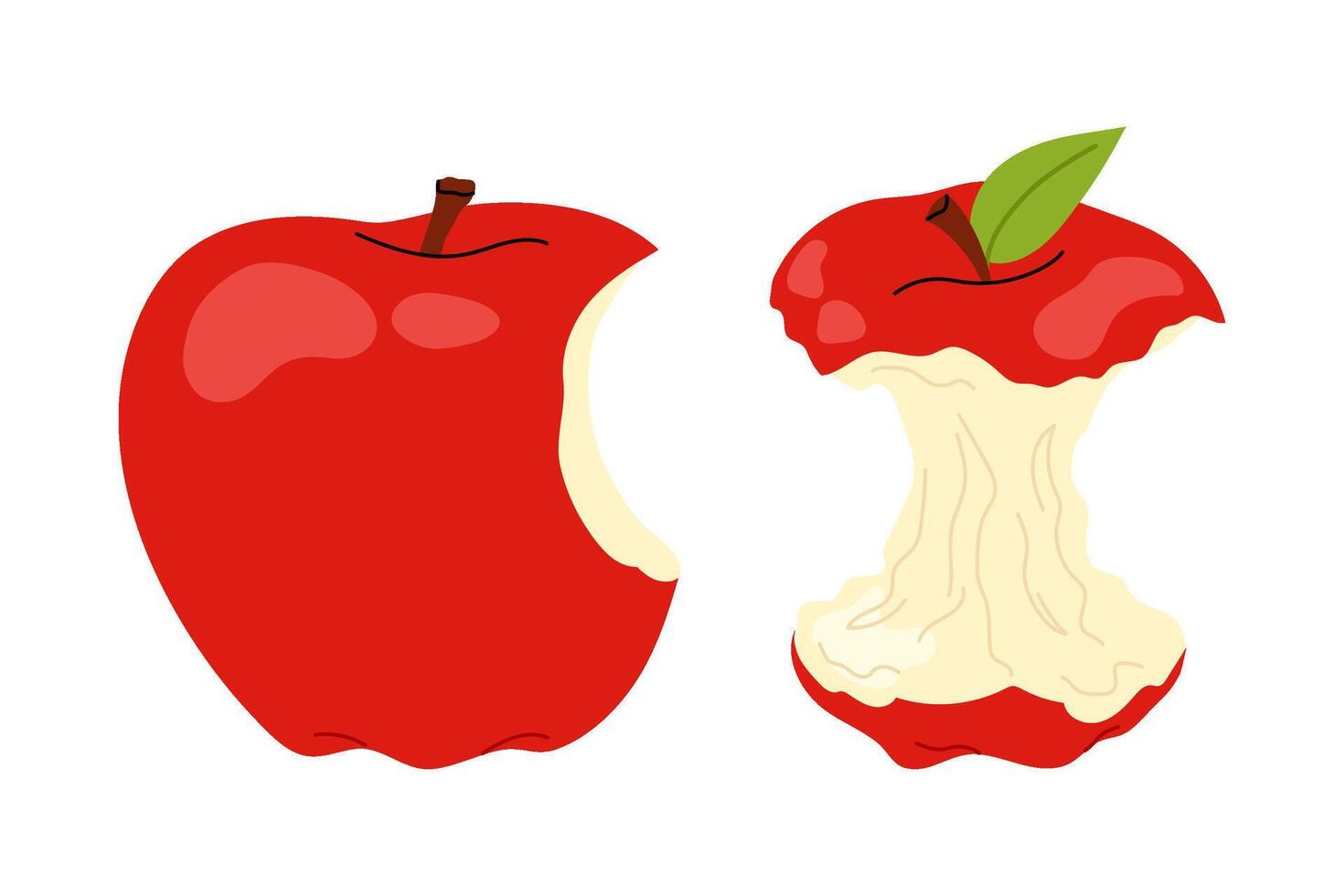 Ripe, crisp red apple. Apple stump, bitten apple vector
