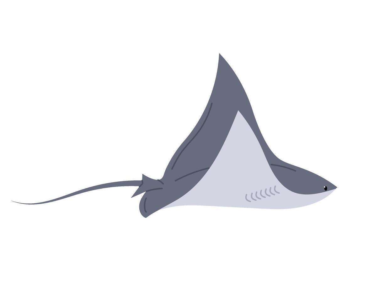 Stingray fish isolated on white background. Ocean stingray. Marine or oceanic animal in flat style. vector
