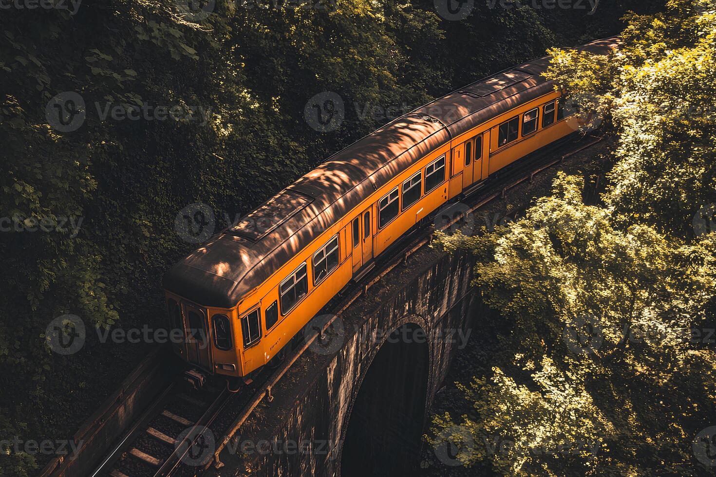 Scenic view of a train crossing a bridge over a river, surrounded by lush green forest in the summer, creating a perfect harmony between nature and transportation photo