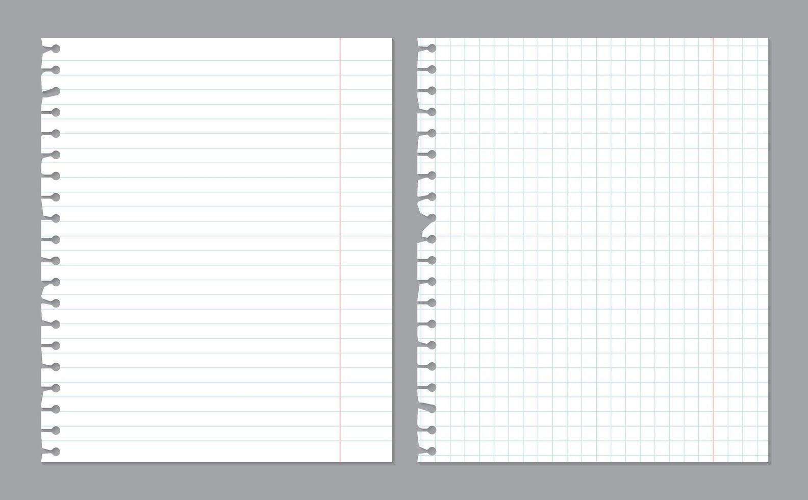 Realistic notebook paper sheets with damaged border. Blank spages of squared and lined paper isolated on gray background. Abstract concept graphic elements vector