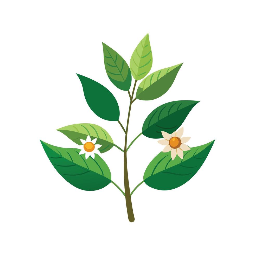 Elegant Chitalpa Tree in Full Blossom vector