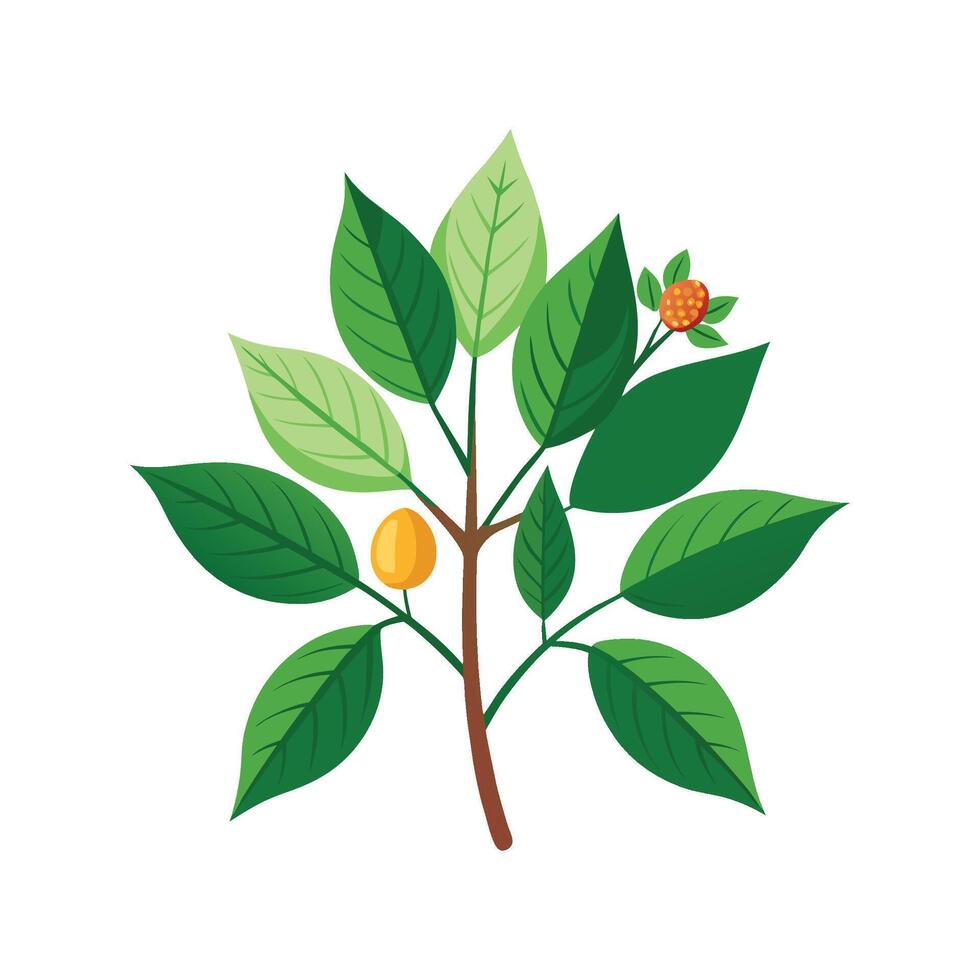 Beautiful Chitalpa Tree Showcasing Unique Blooms vector
