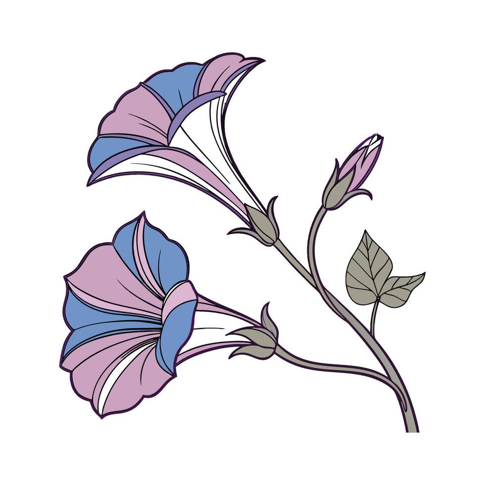Elegant Ground Morning Glory Flower Design on White vector