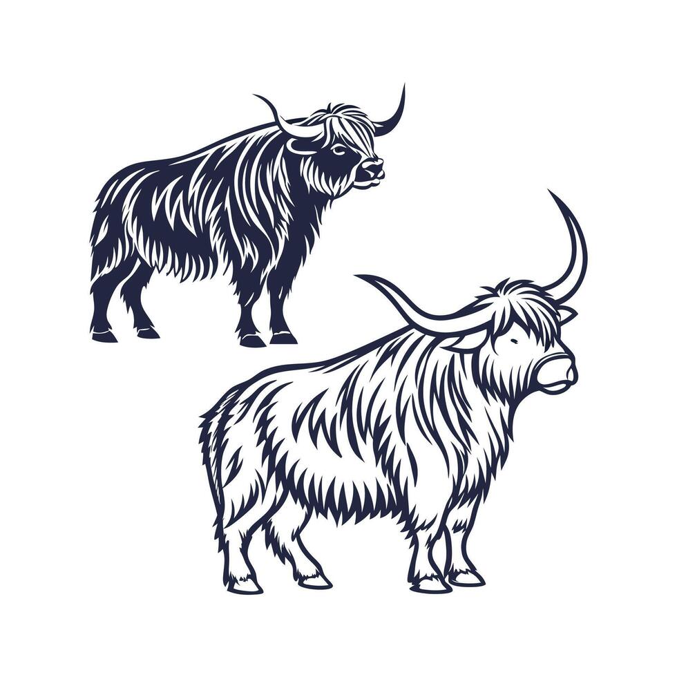 Artful Highland Cow Outline Design vector
