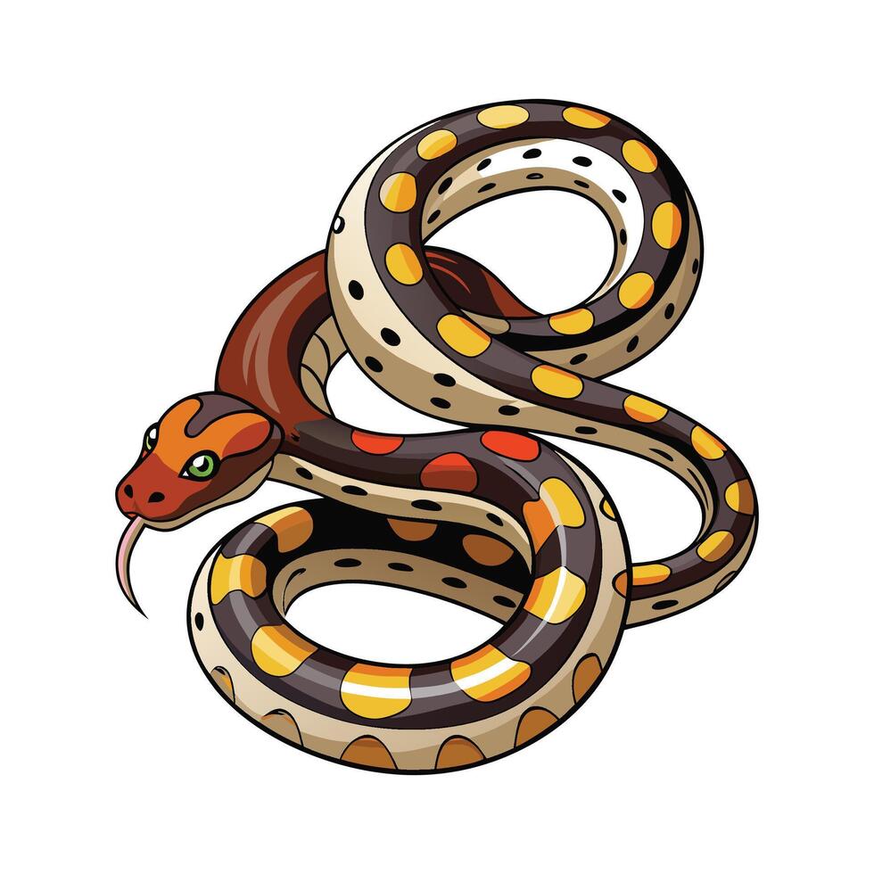Charming Design of Macklots Python vector