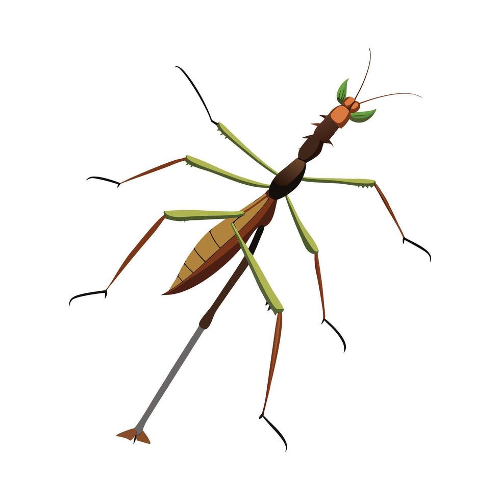Charming Walking Stick Insects in Nature vector