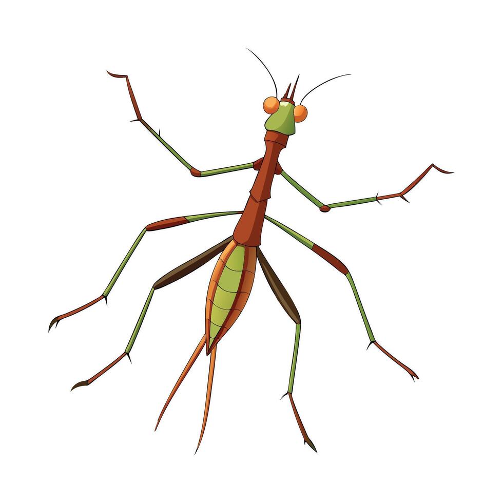 Cute Stick Insect for Kids vector