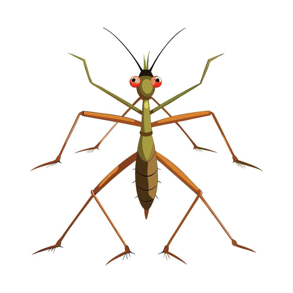 Stylized Stick Insect for Educational Use vector