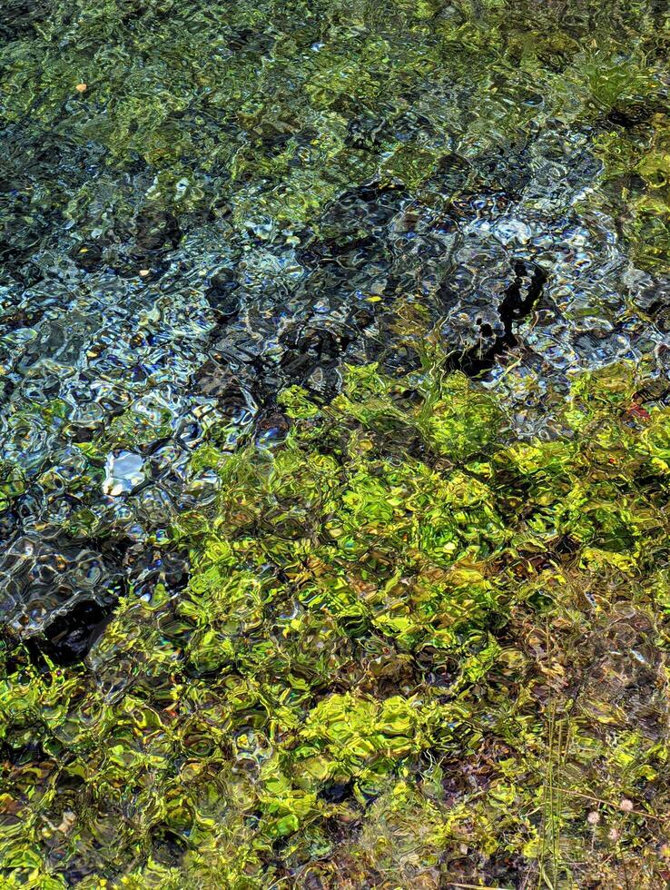 Jiuzhaigou's Colorful Pool Close-Up - A Kaleidoscope of Flowing Colors photo