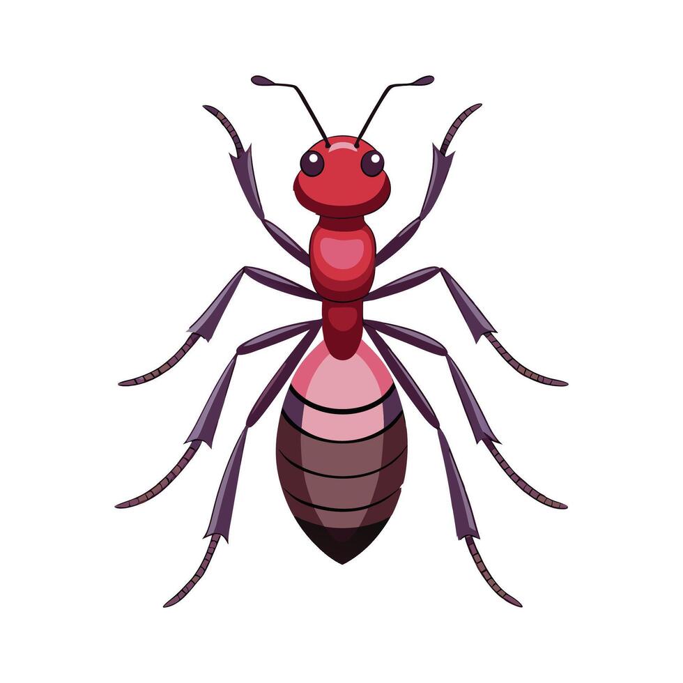 Tetramorium Caespitum Artistic Design vector