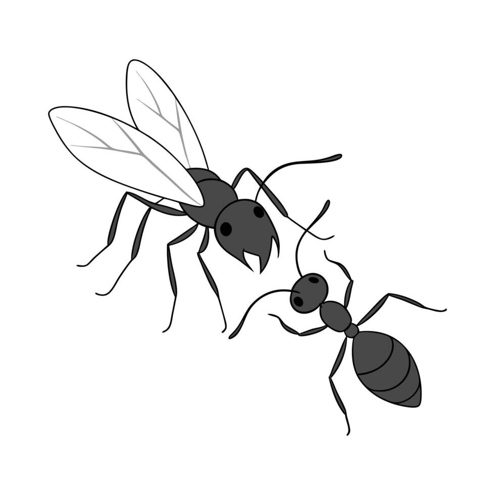 Stylish Aphidant Insect Illustration on White vector