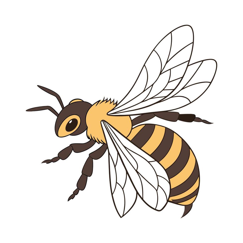 Stylish Centris Pallida Design vector