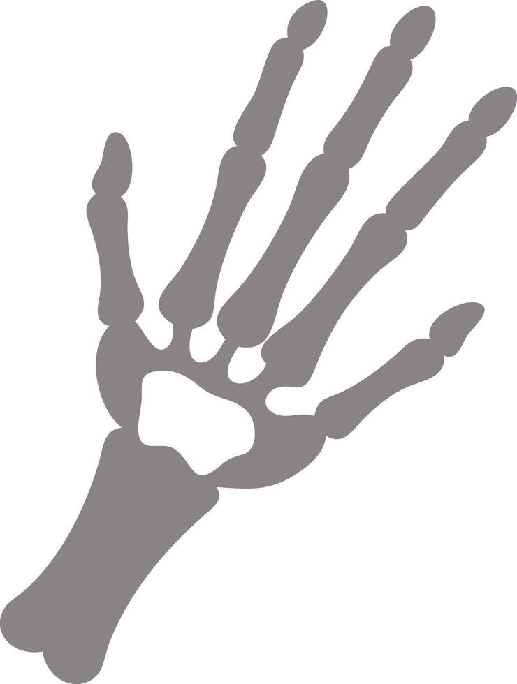 Minimalist Skeleton Hand Design with Clean Lines and Simple Shapes vector