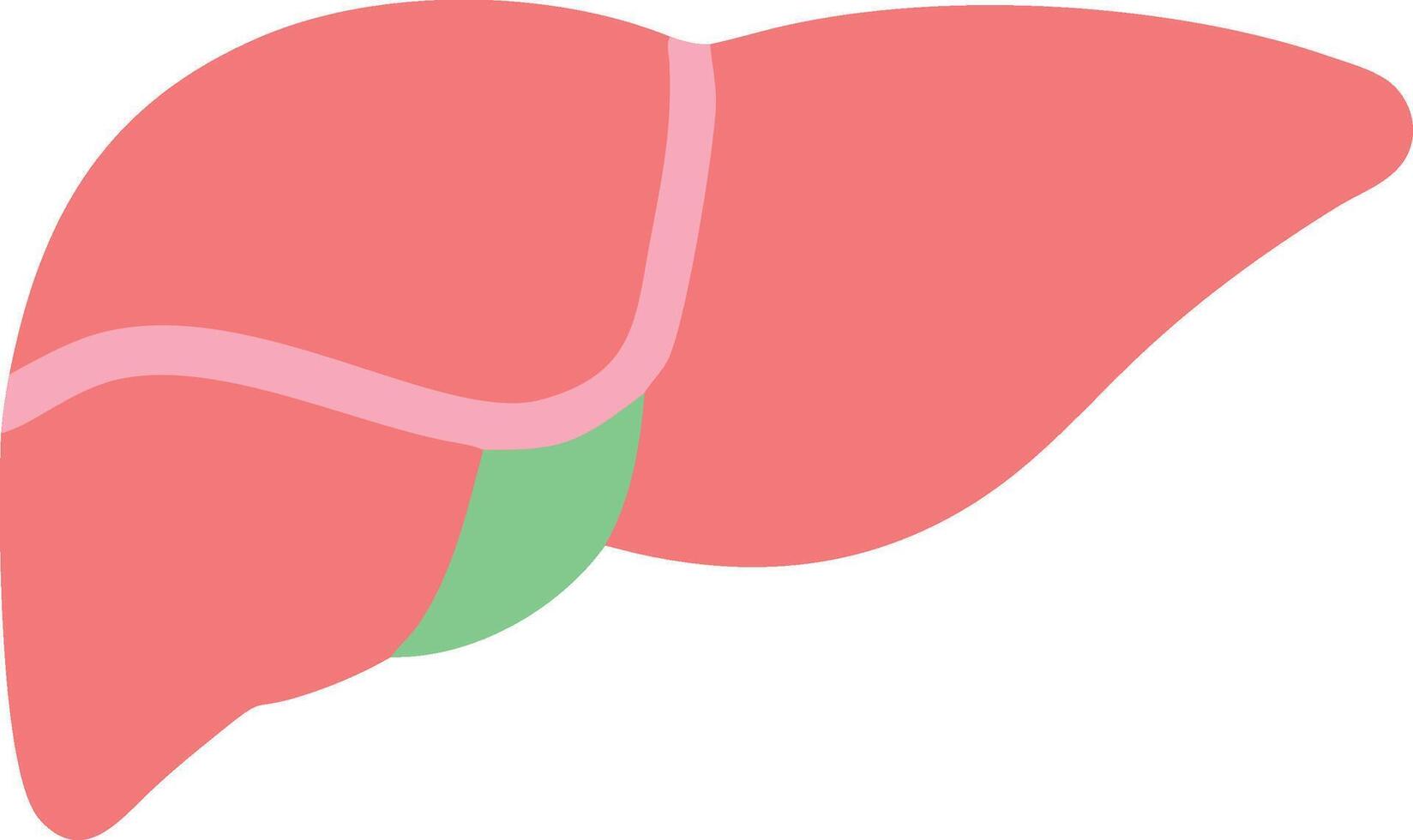 Nature-Inspired Liver Design with Earthy Tones and Textures vector