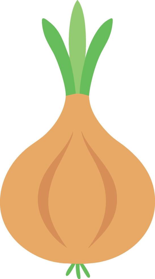Unique Cross-Section Onion View vector