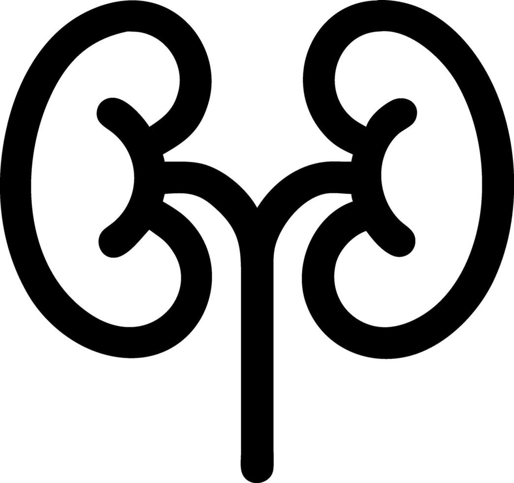 Abstract Kidney Representation vector
