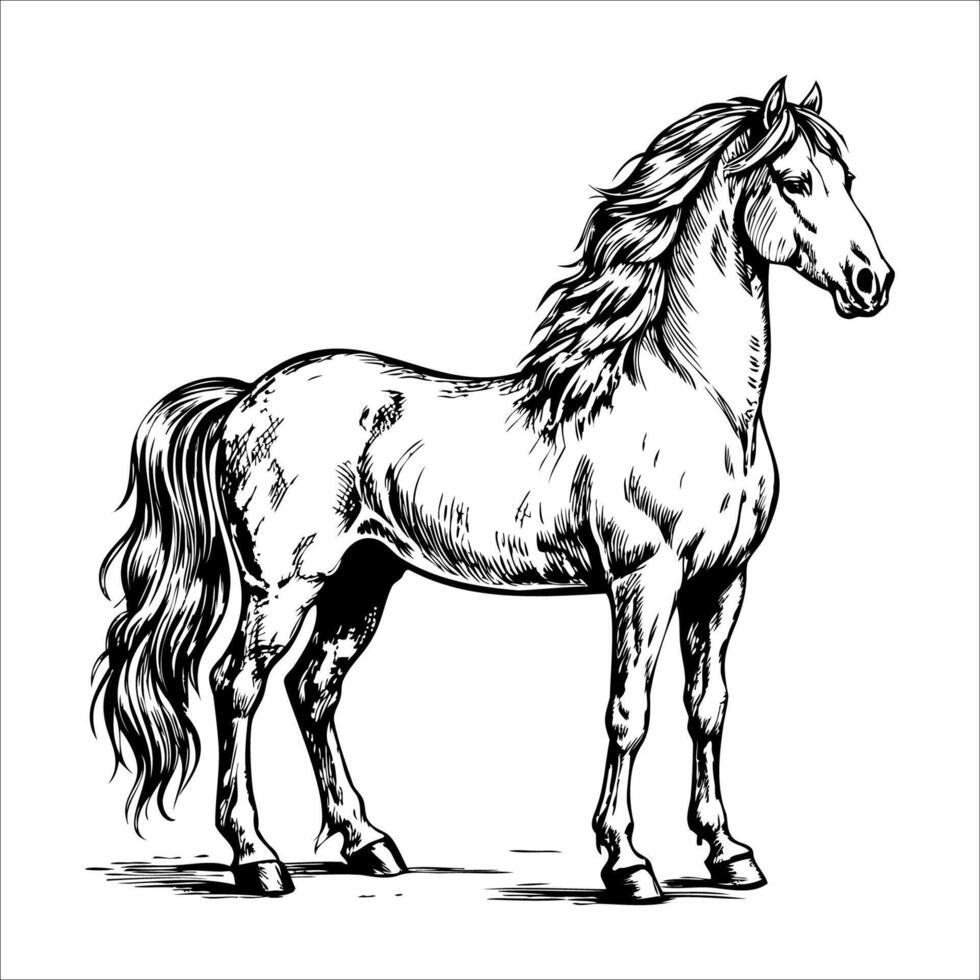 Vintage black and white illustration of horse in profile with flowing mane vector