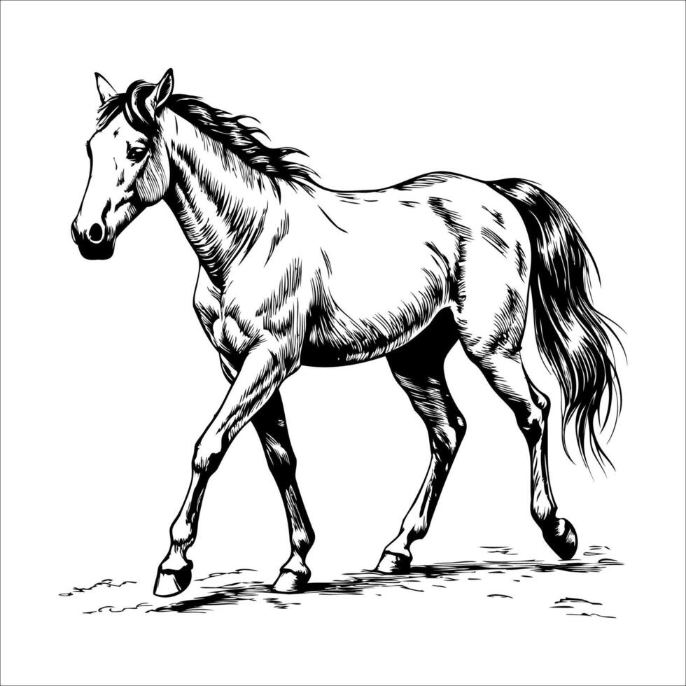 Full-body horse illustration in mid-walk, side view sketch vector