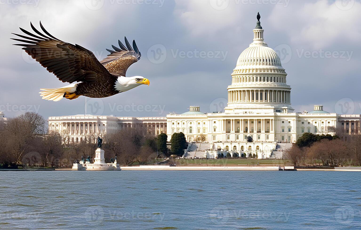 The iconic Capitol building in Washington DC with an eagle soaring in the sky, symbolizing freedom and patriotism in the United States photo