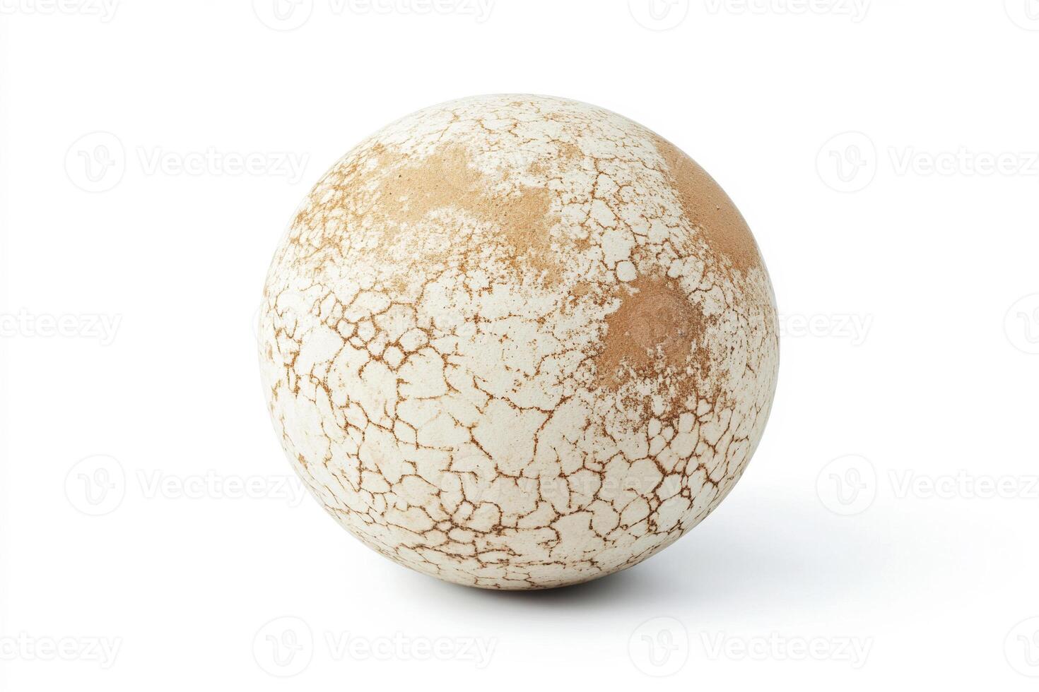Unique spherical object with textured surface and natural colors photo