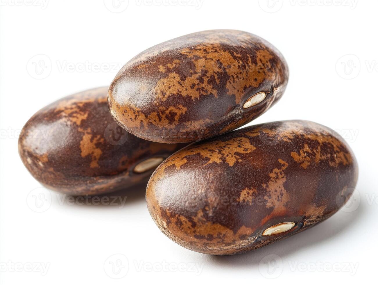 Unique brown speckled beans on a clean surface photo