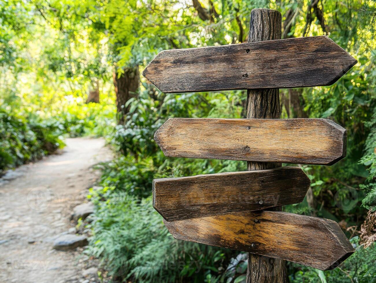 Wooden signpost stands amidst greenery along a forest path photo