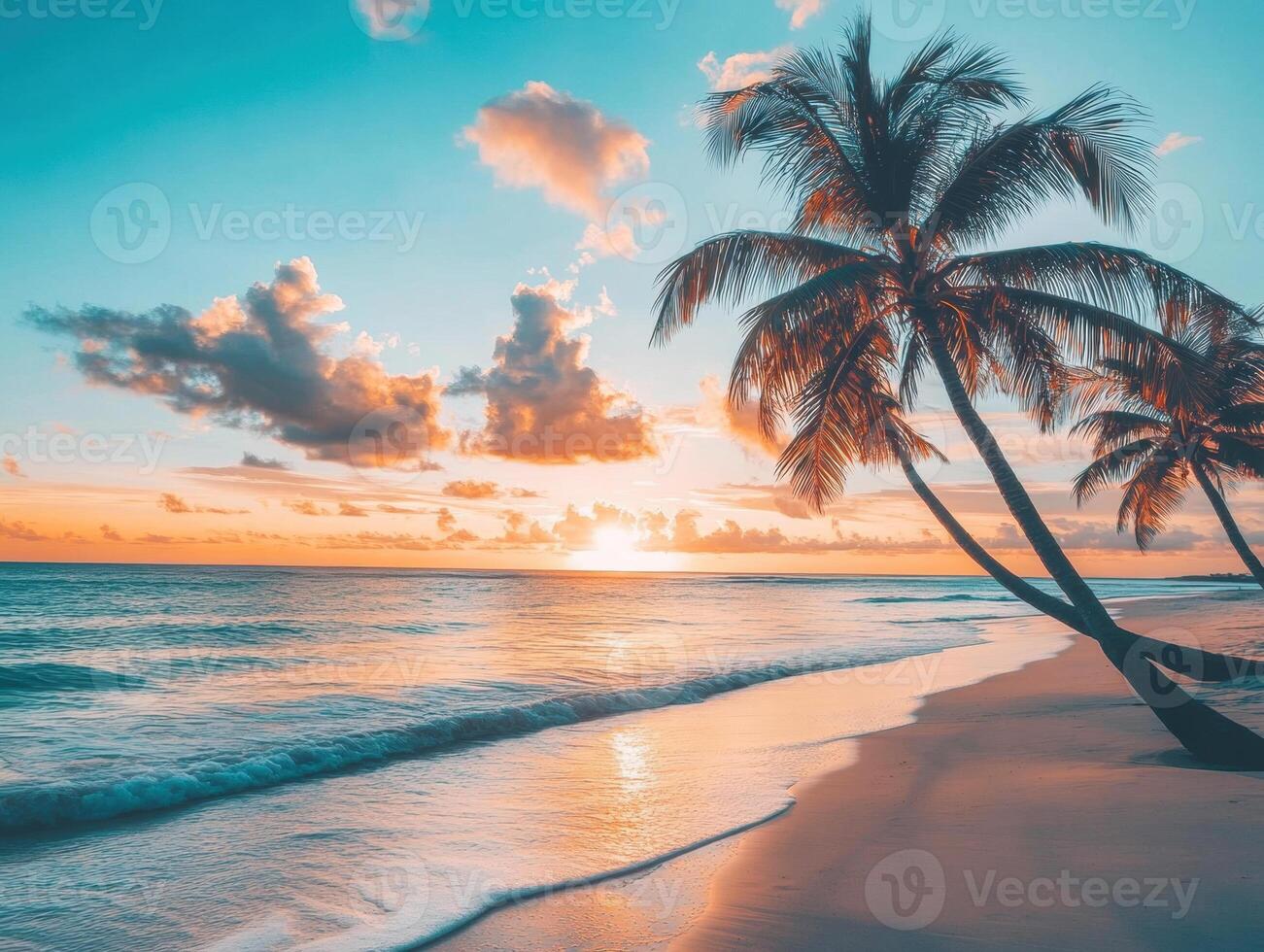 Tropical sunset over a serene beach with swaying palm trees photo