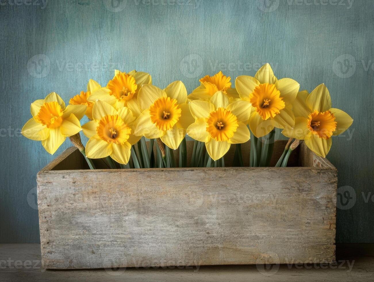 Bright yellow daffodils arranged in a rustic wooden box photo