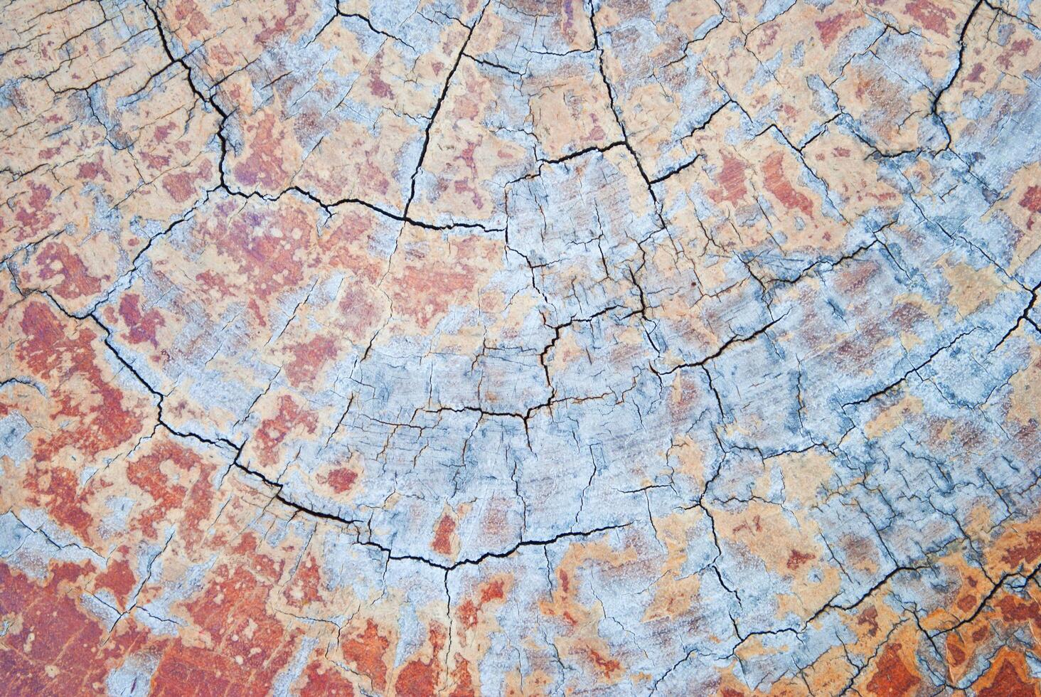 image of old wooden background. photo