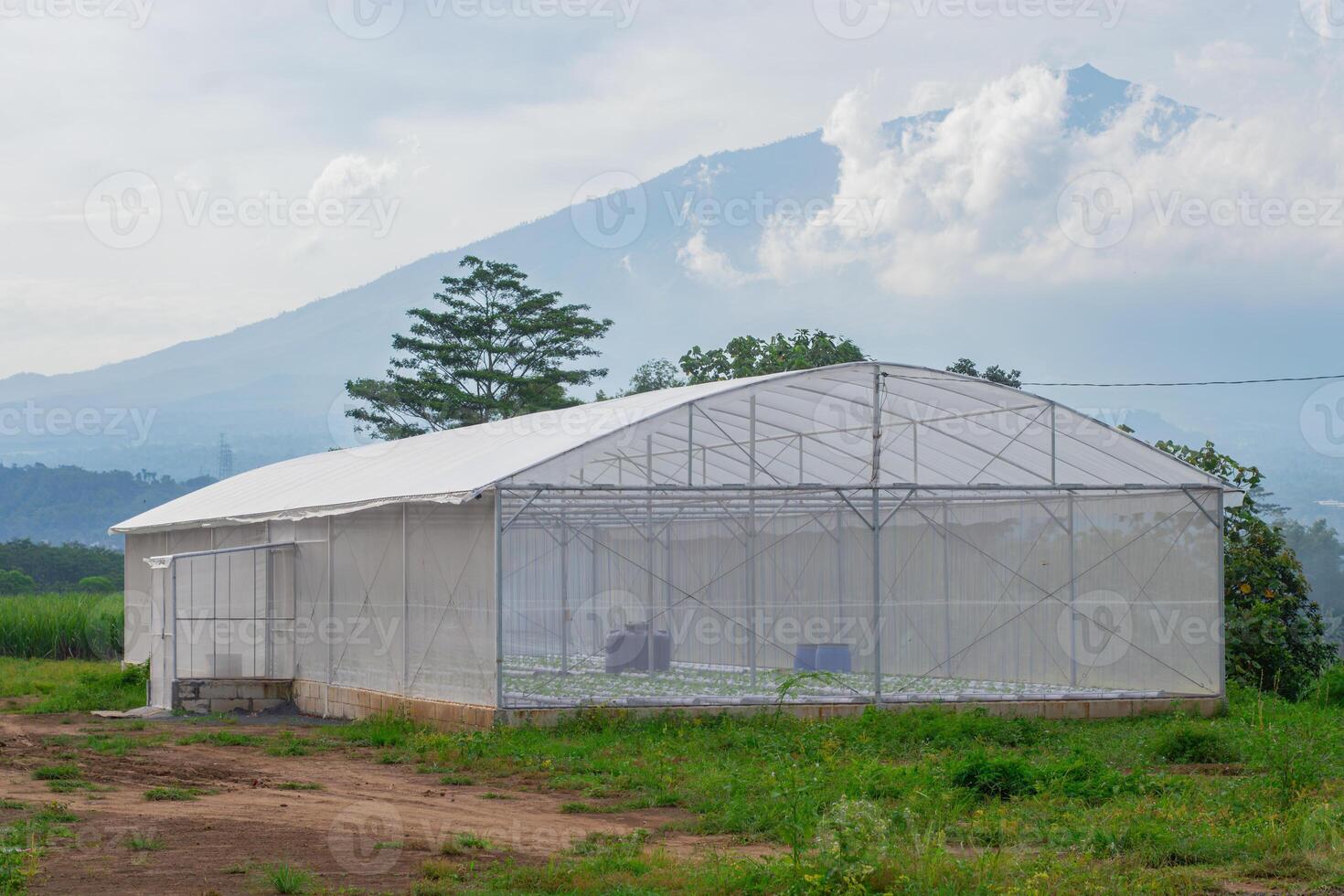 Greenhouse with UV plastic glowing under sunlight, backed by Mount Arjuna's scenic view. A harmony of modern farming and nature. photo
