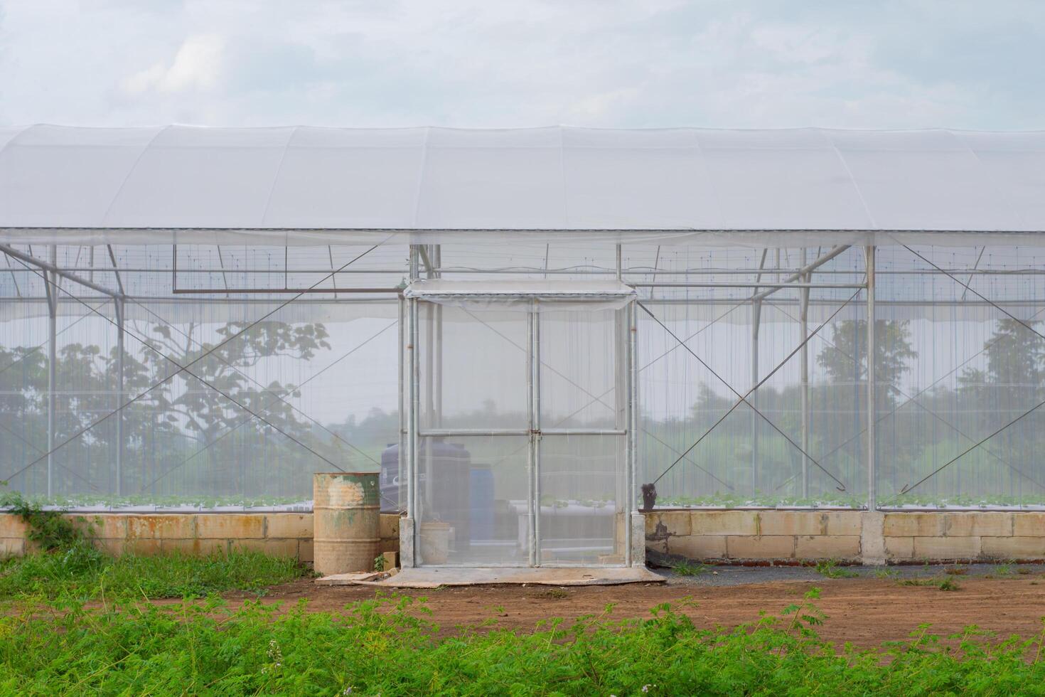 Entrance door of a greenhouse made of UV plastic for modern agriculture. Suitable for hydroponic farming, plantations, agribusiness, and green environments. photo