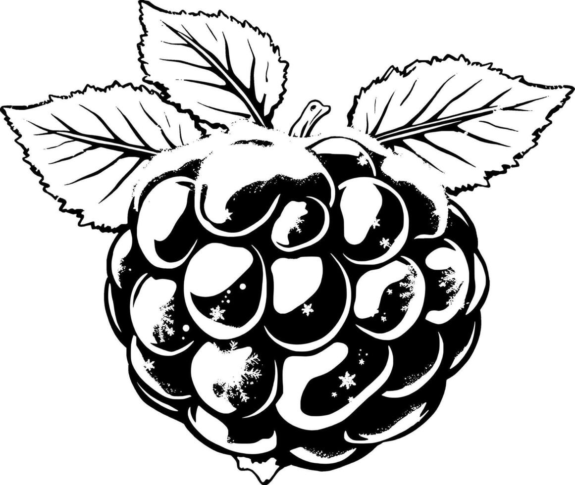 A Snowy Blackberry with Delicate Leaves and Winter s Kiss vector
