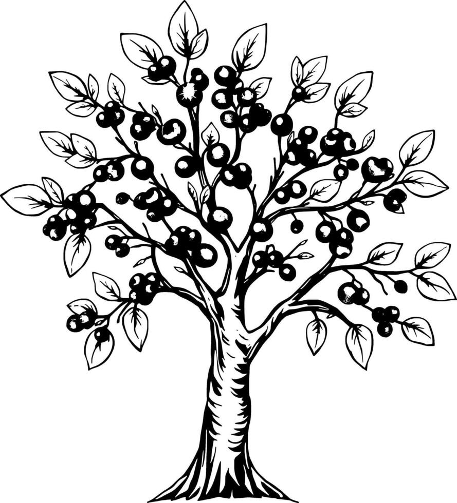 A Detailed Illustration Of A Small Fruit Tree Laden With Abundant Red Berries Set Against A Clean Wh vector