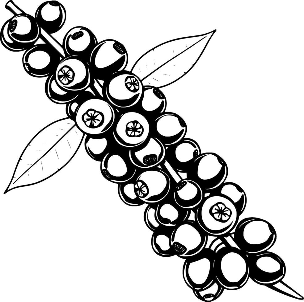 Black And White Illustration Of A Bunch Of Ripe Blueberries On A Branch With Leaves vector