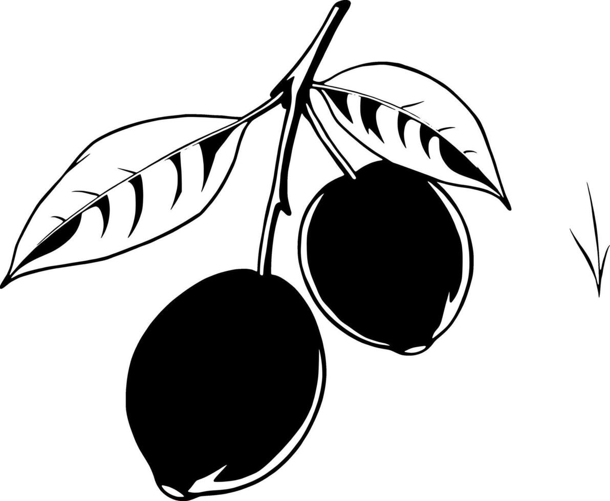 Two Ripe Plums on a Branch with Lush Green Leaves vector