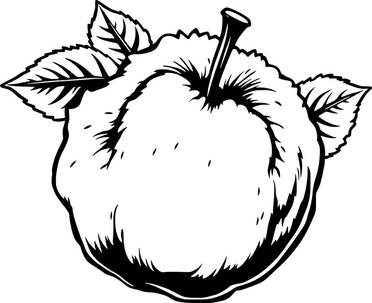 A Detailed Line Drawing Of A Single Apple With Leaves vector