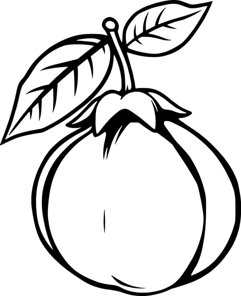 Line Art Illustration Of A Single Ripe Guava With Leaves vector