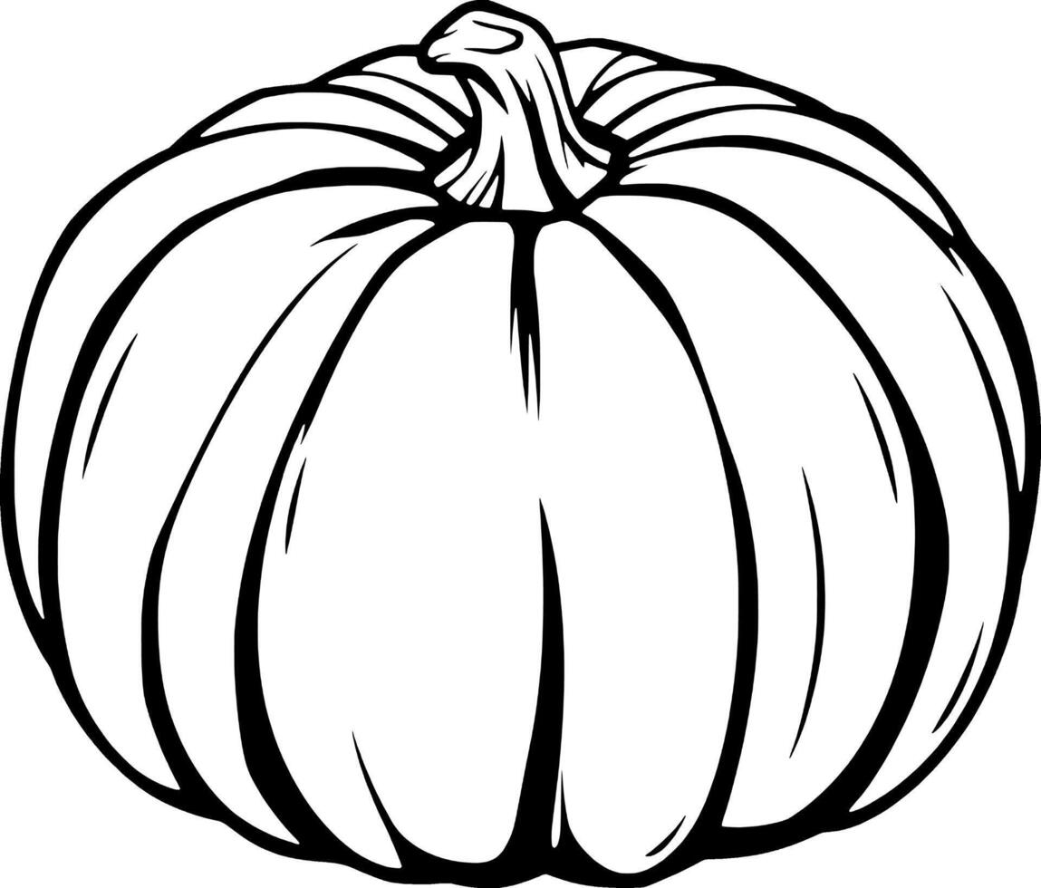 A Simple Line Drawing Of A Single Round Pumpkin vector